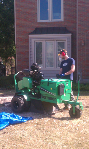 Local stump remover