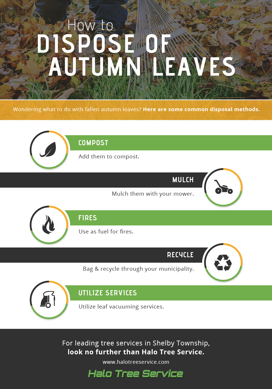 How-to-Dispose-of-Autumn-Leaves-infographic-609066fb75a0b
