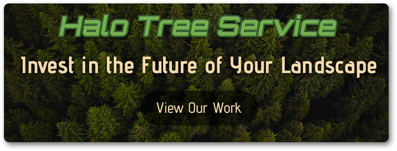 CTA-Invest-in-the-Future-of-Your-Landscape-5b9fac32601c5