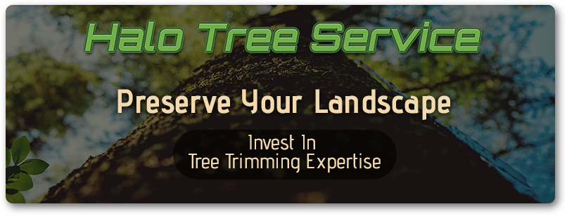 CTA-Preserve-Your-Landscape-5b9fac3543a74