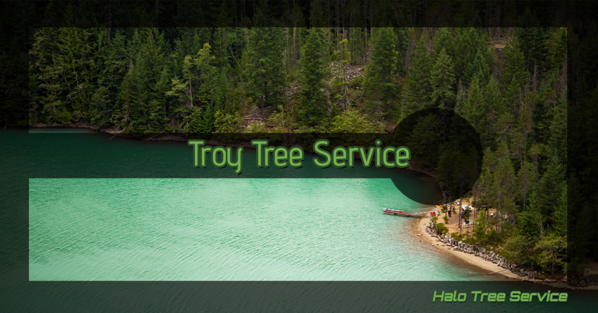 Troy tree service banner over a lake