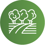 Artboard-2-6022f2365e1b1