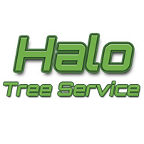 Logo-Stacked-border