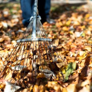 raking leaves